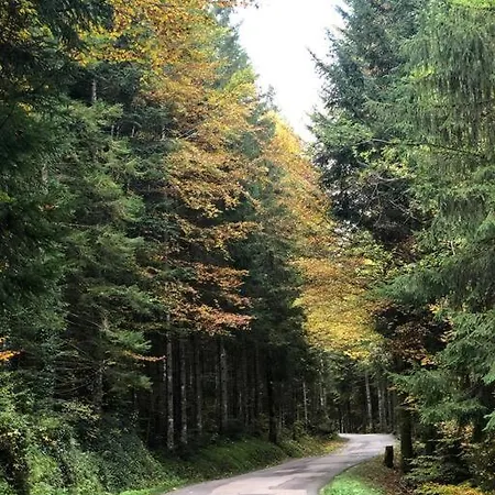 Nuit Insolite - La Cabane Du Haut-Doubs Les Gras Extérieur photo